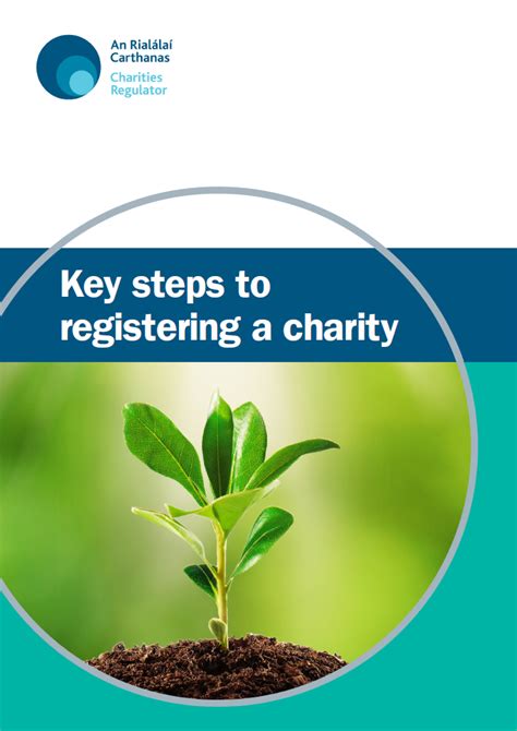 setting up a charity in ireland|Key steps to registering a charity .